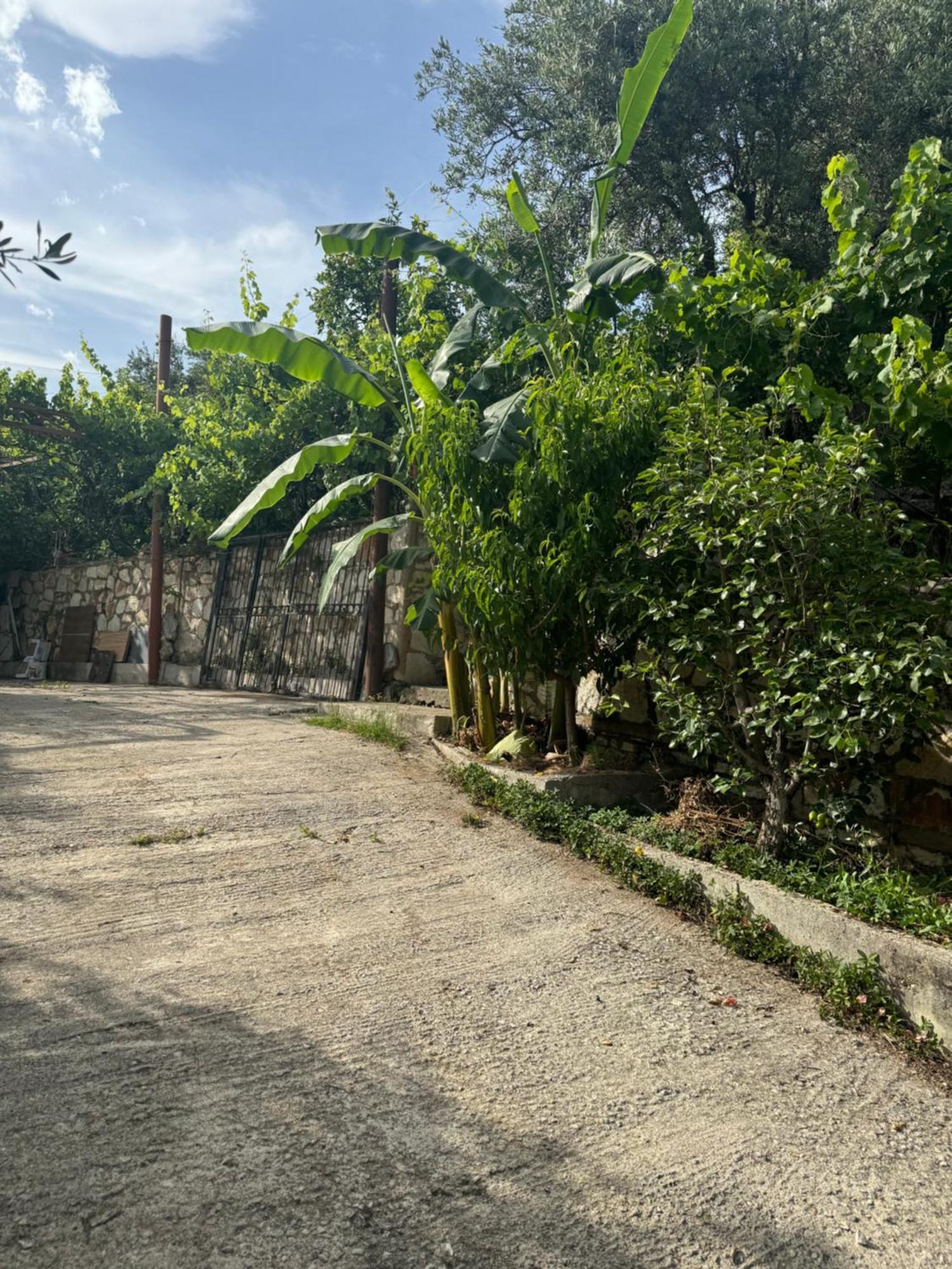 Uzeiri'S Houses Borsh Exterior foto